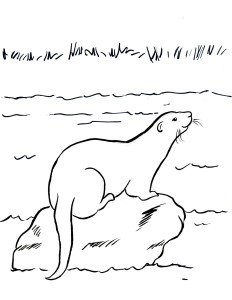 river otter coloring page