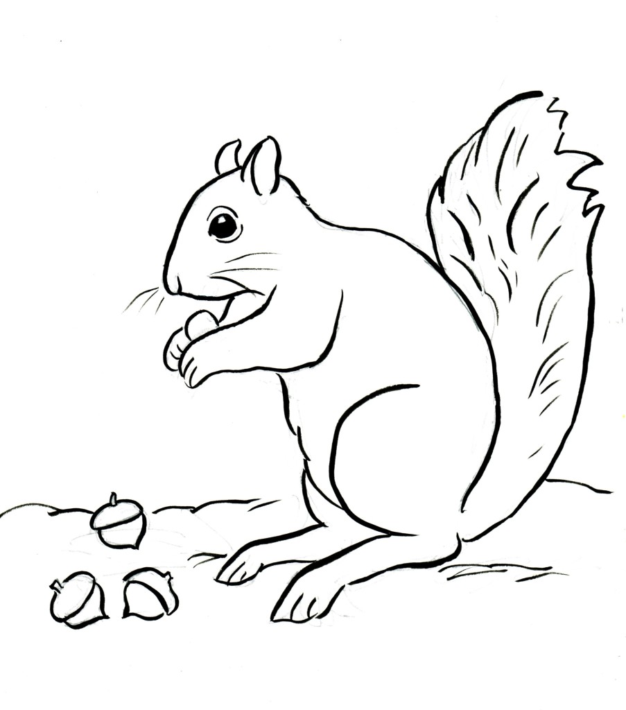 squirrel-coloring-page-art-starts