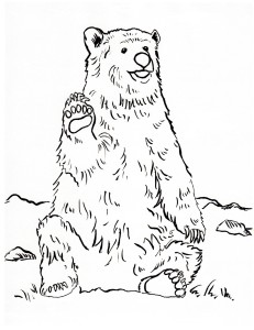 grizzly bear coloring page 3
