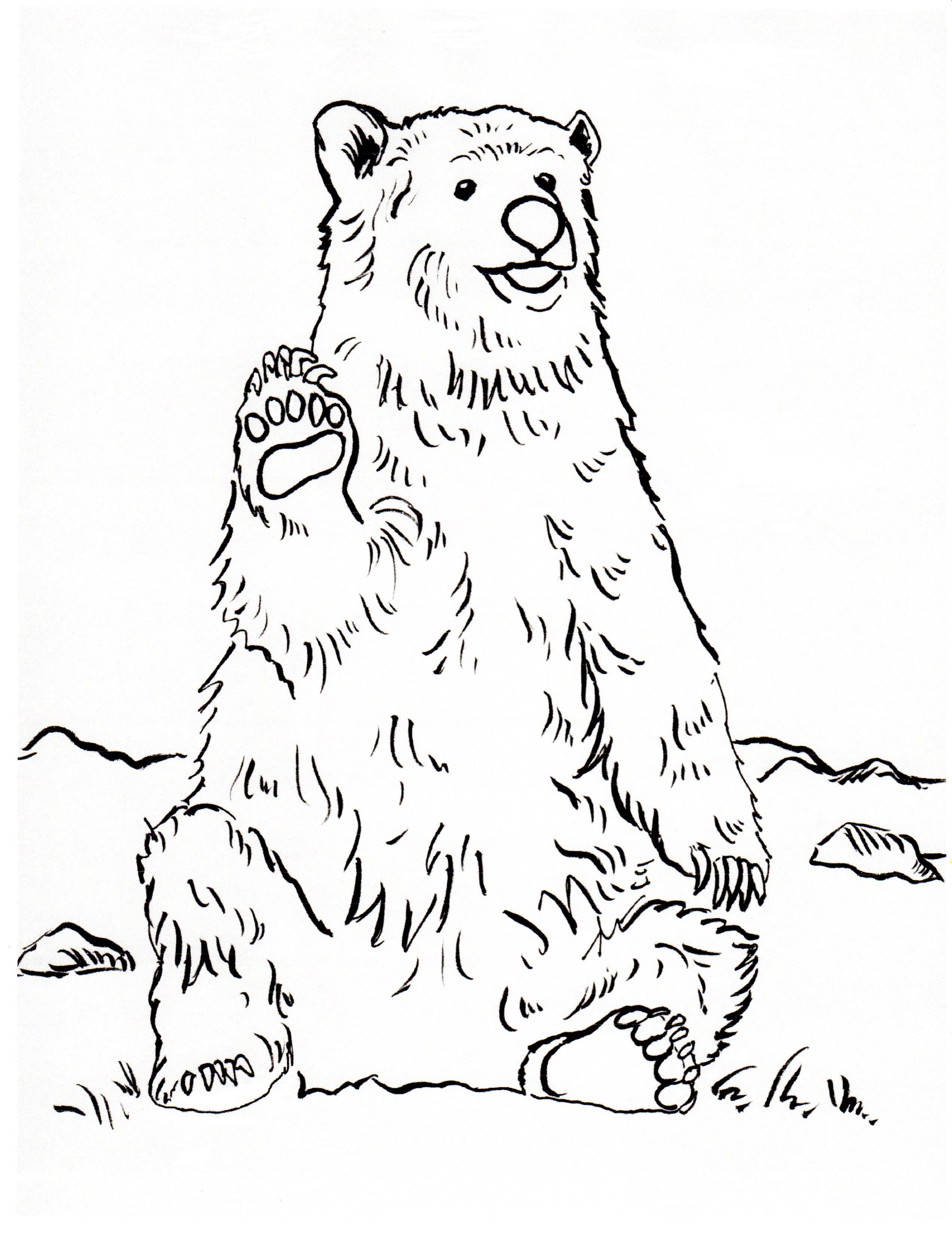 Grizzly Bear Coloring Page - Art Starts