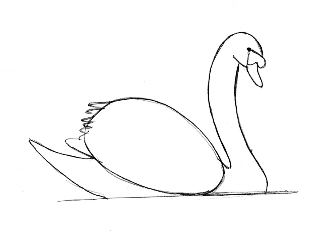 swan drawing 10