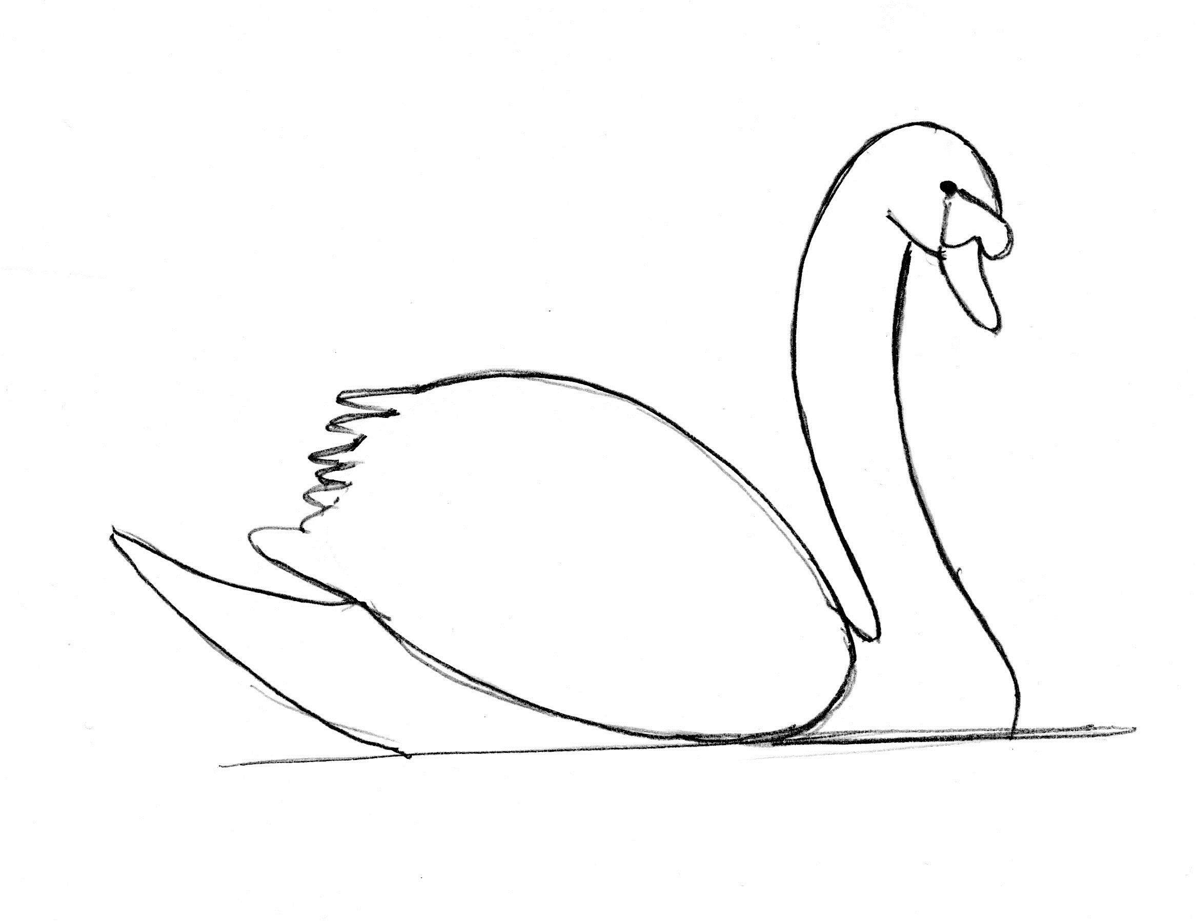  Swan Drawing Step by Step - Samantha Bell