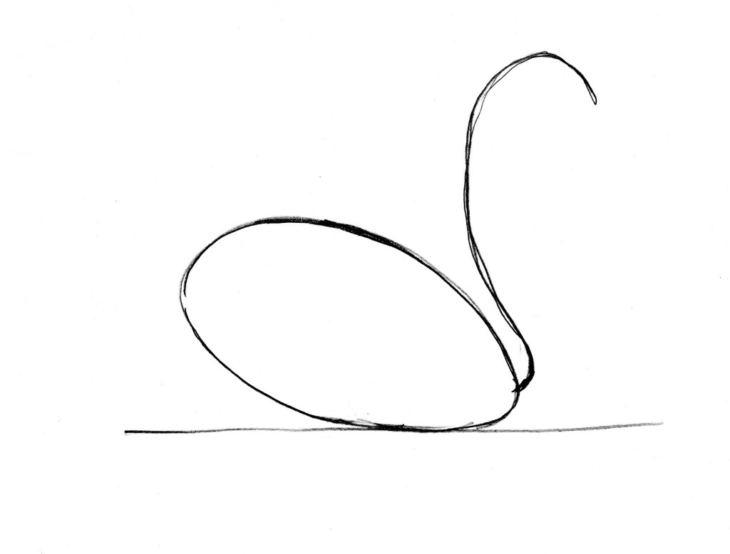 swan drawing 3