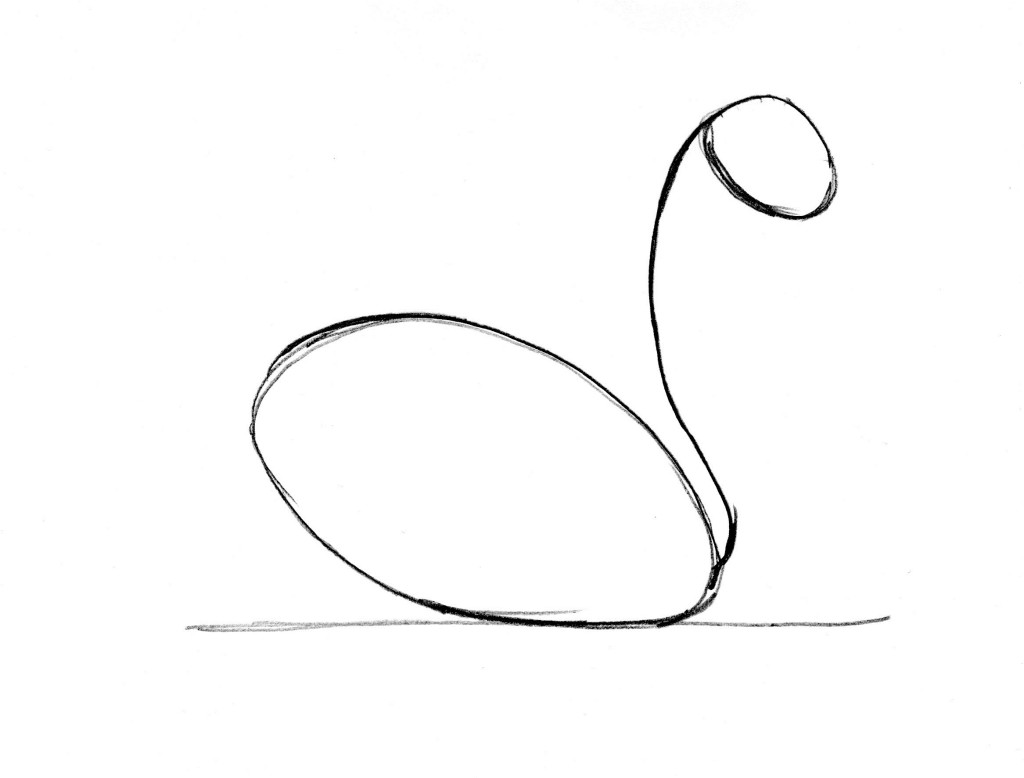 swan drawing 4