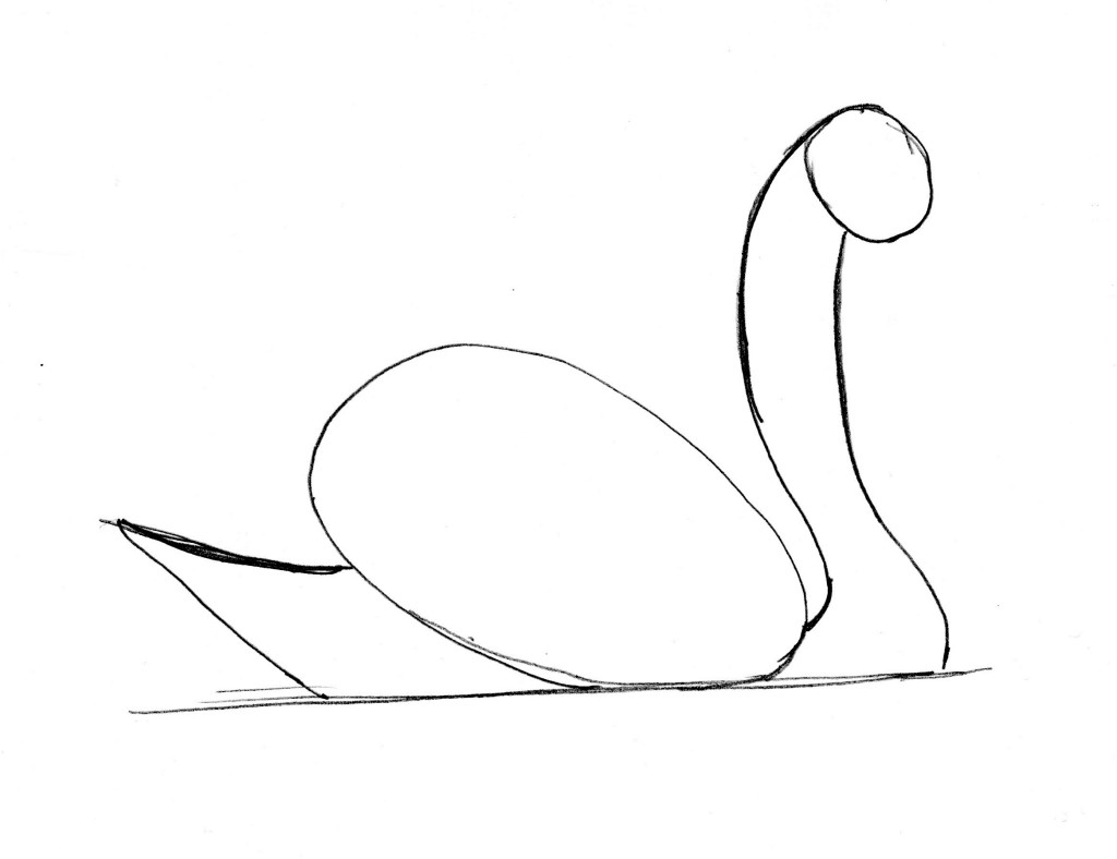 swan drawing 6