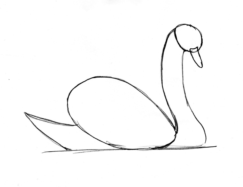 swan drawing 7
