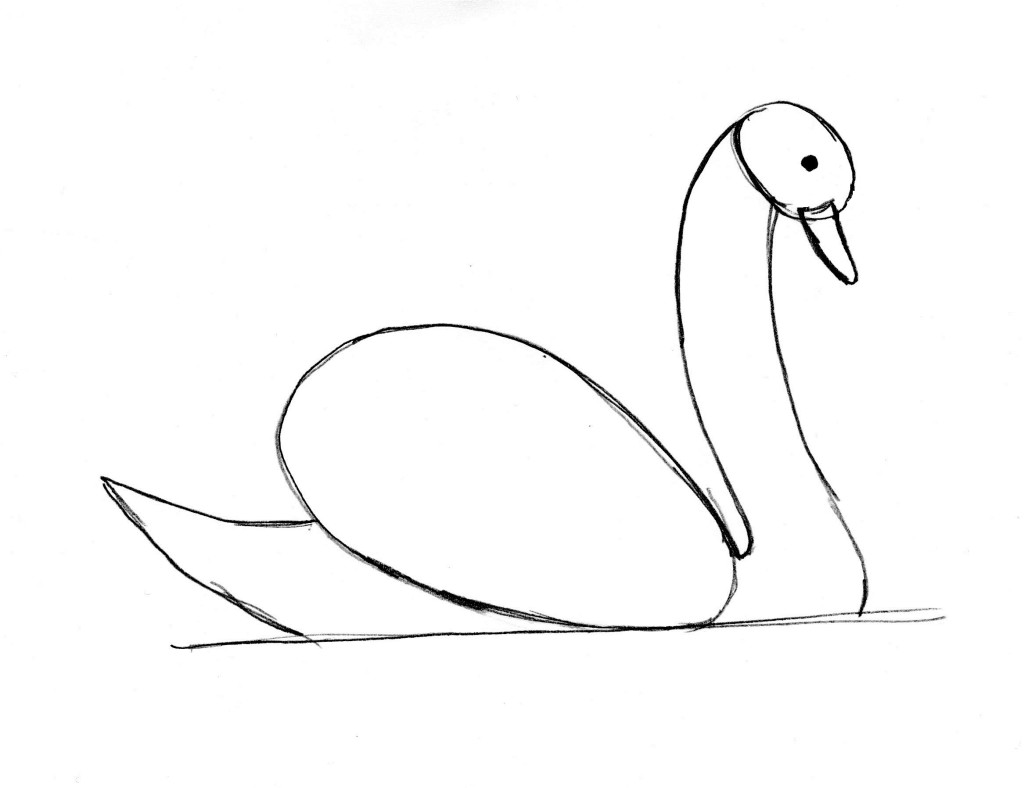 swan drawing 7-b