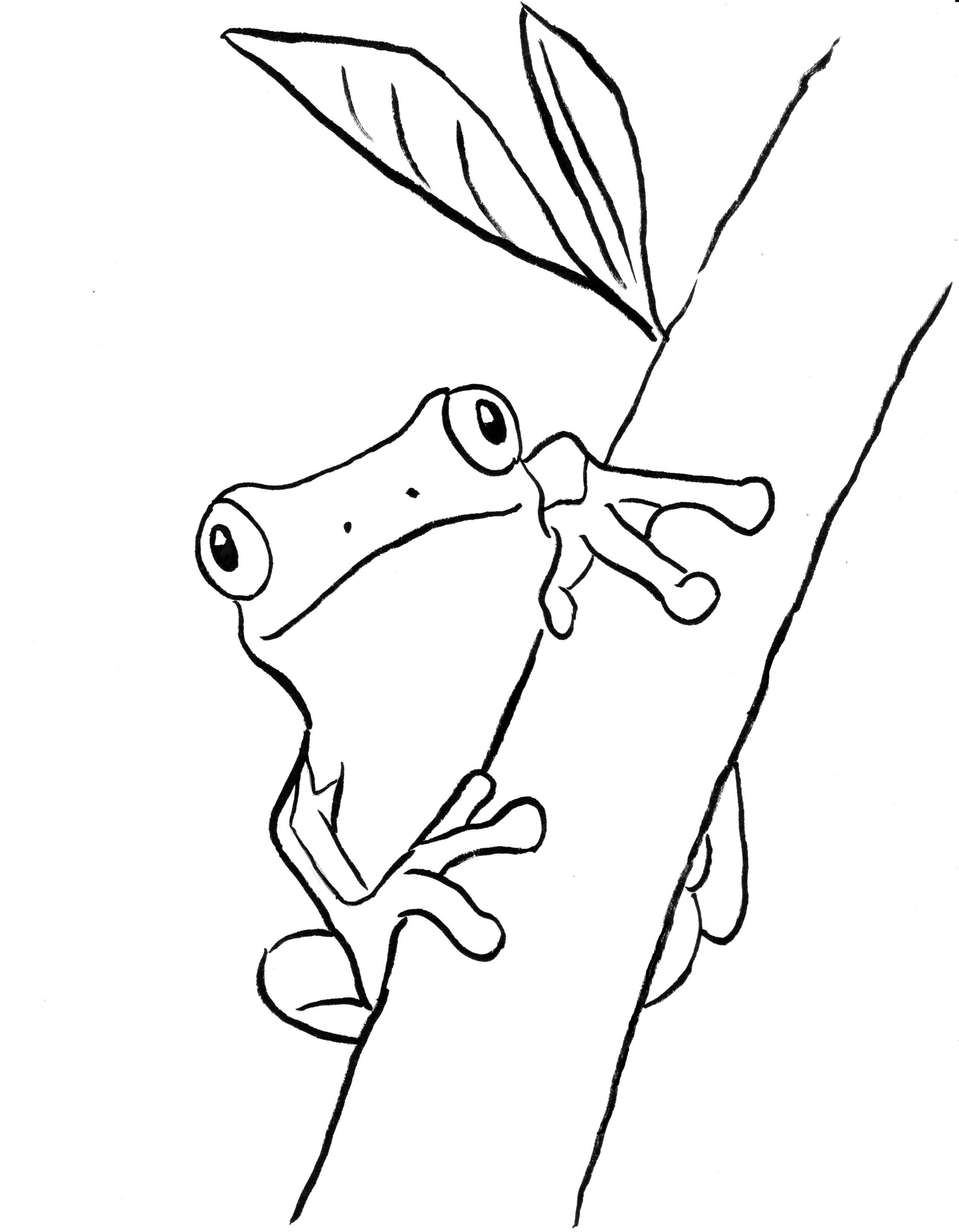 Tree Frog Coloring Page - Art Starts