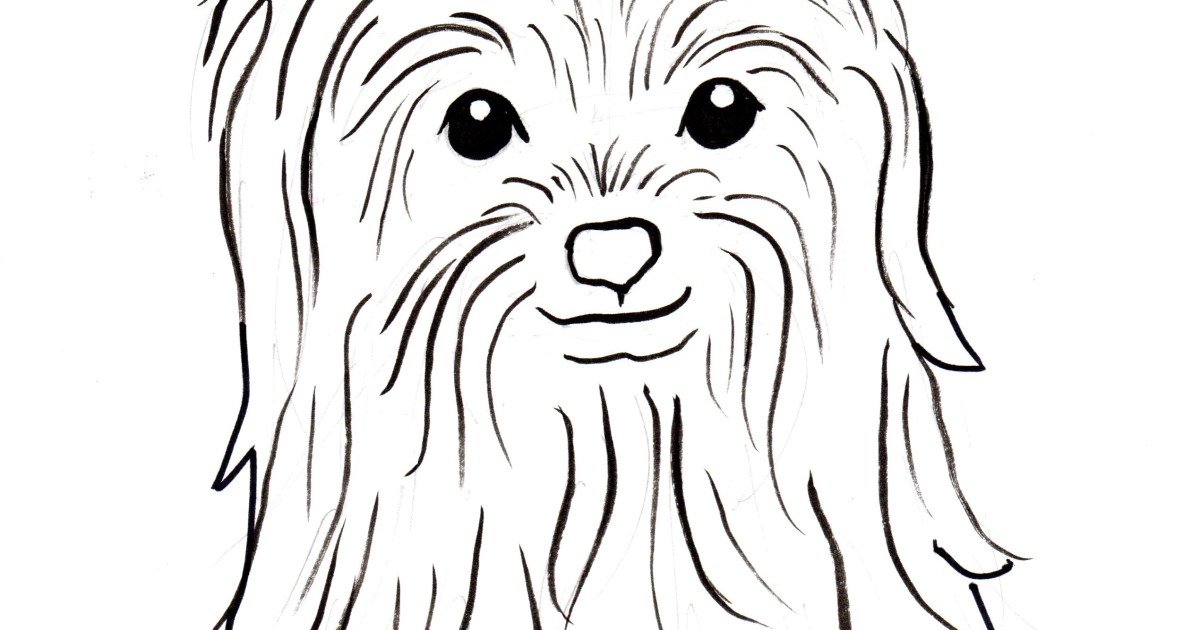 Yorkshire Terrier Coloring Page Art Starts For Kids