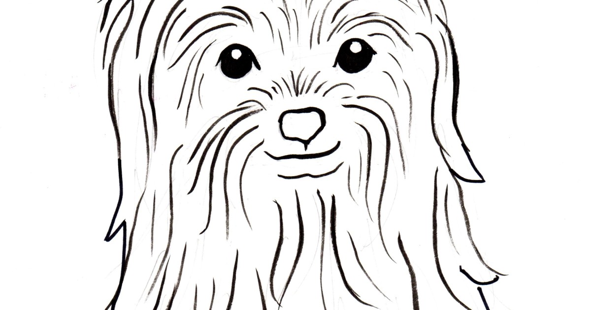 yorkies coloring pages - photo #17