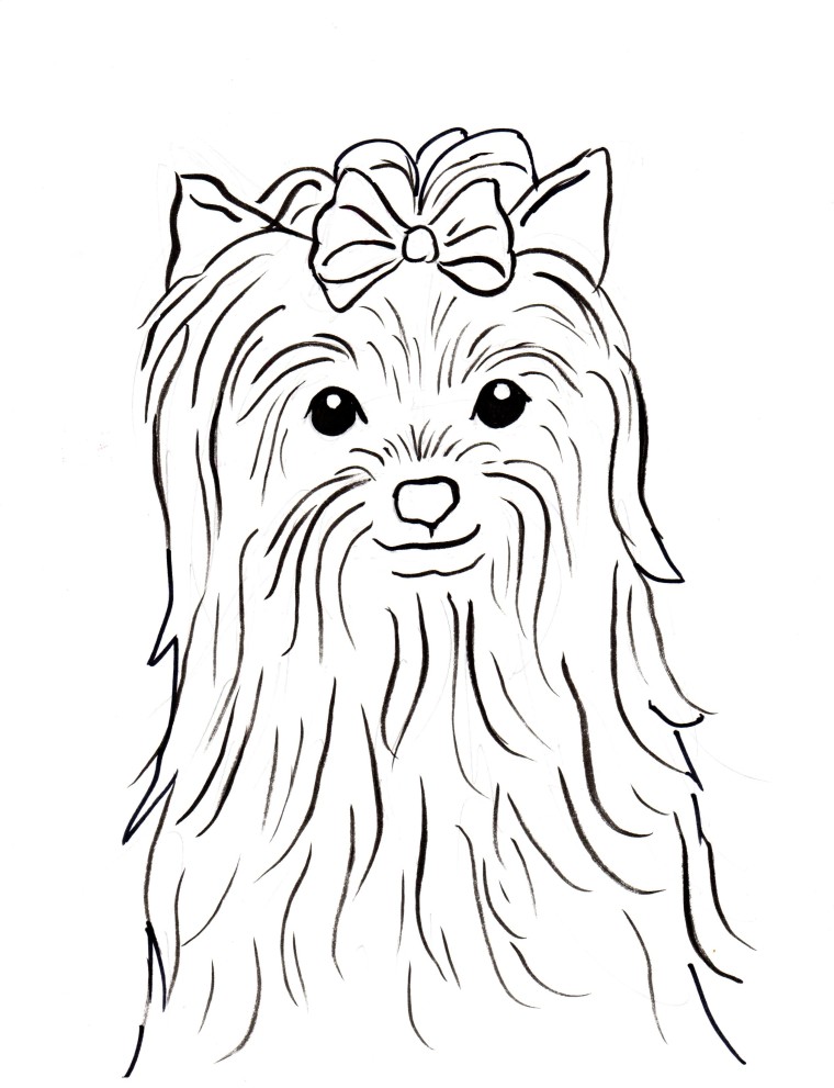 Yorkshire Terrier Coloring Page - Samantha Bell