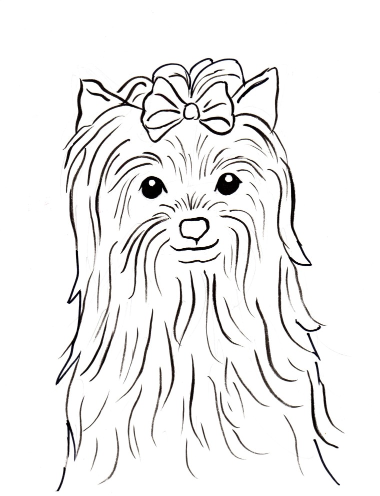 yorkies coloring pages - photo #5