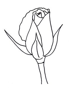 How to Draw a Rose Bud
