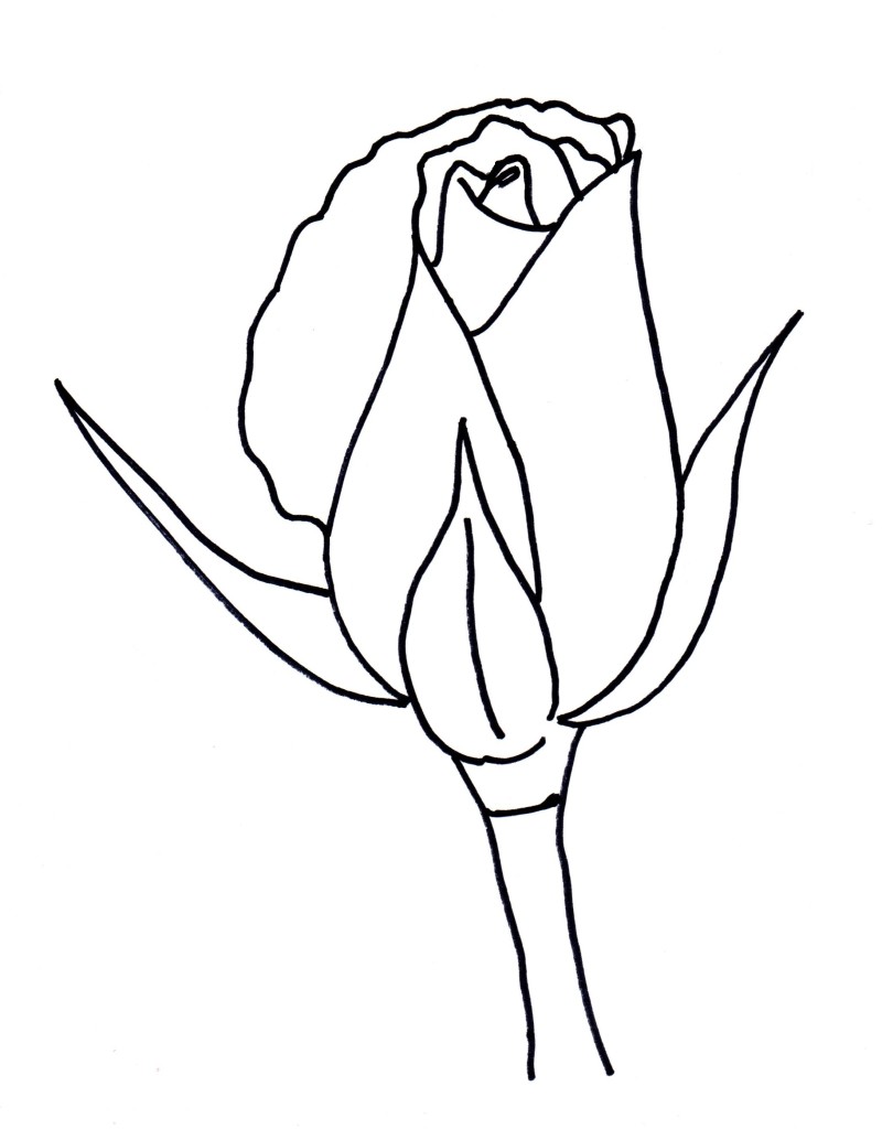 How to Draw a Rose Bud Art Starts