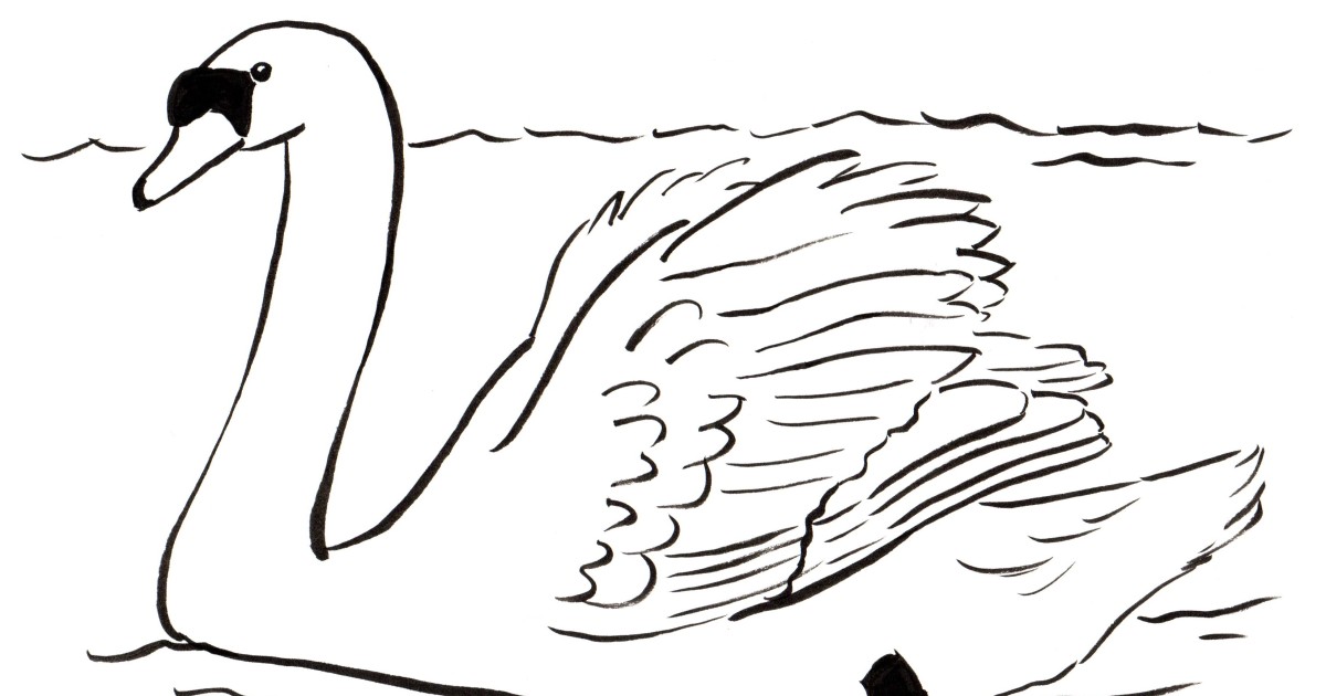 Swan Coloring Page - Samantha Bell