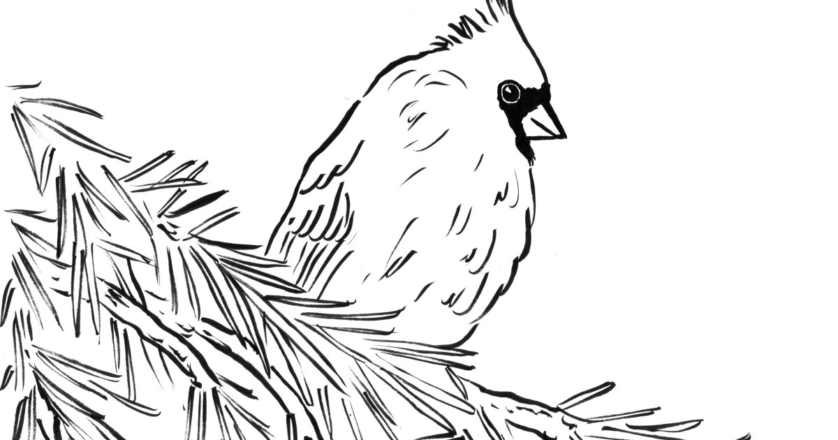 Two Red Cardinals coloring page, SuperColoring.com