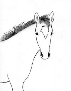 horse drawing step by step