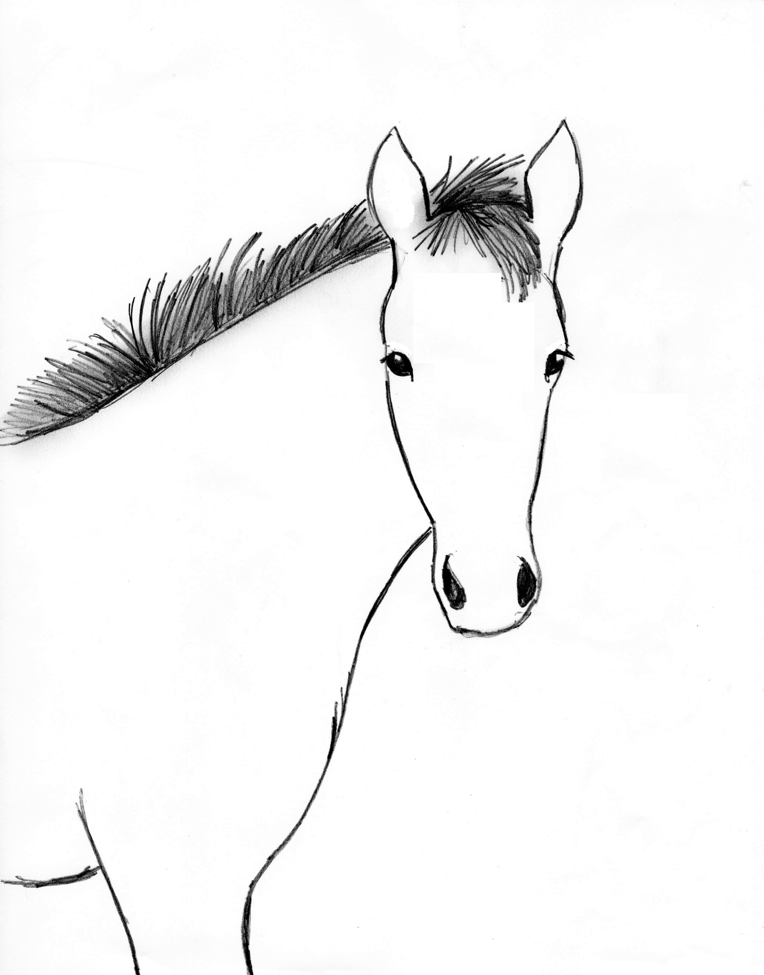 Horse Sketch - RobinAge-suu.vn