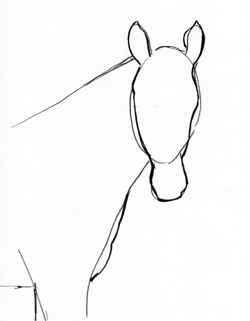 horse step by step 6