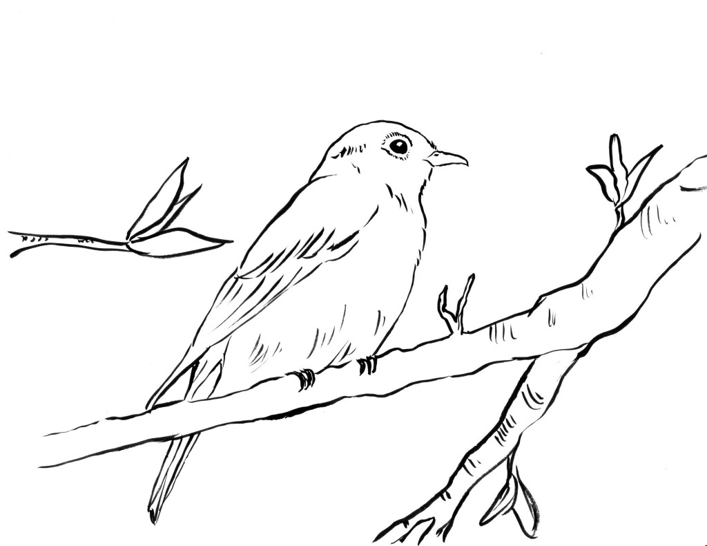 Bluebird Coloring Page - Art Starts for Kids