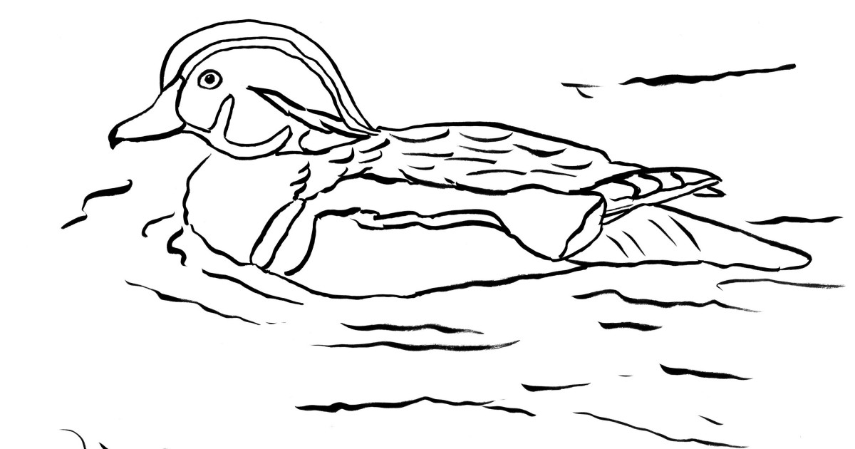 Download Duck Coloring Pages For Kids / Make this duck tales ...