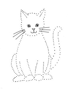 dot to dot cat