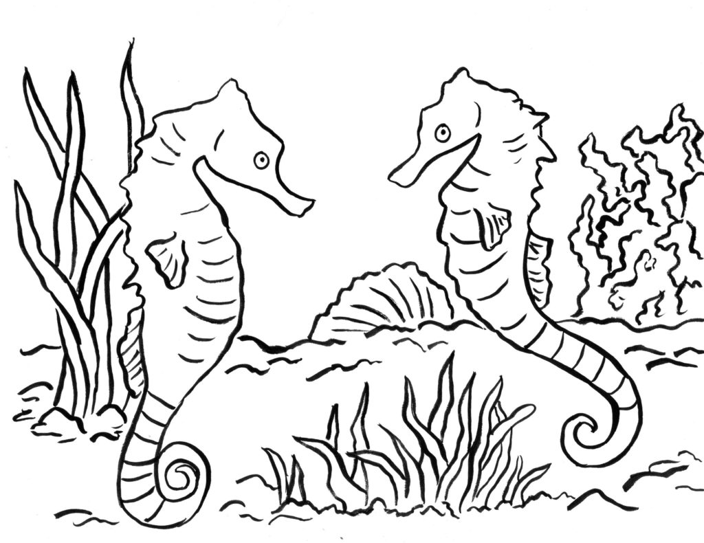 Seahorse Coloring Page - Art Starts