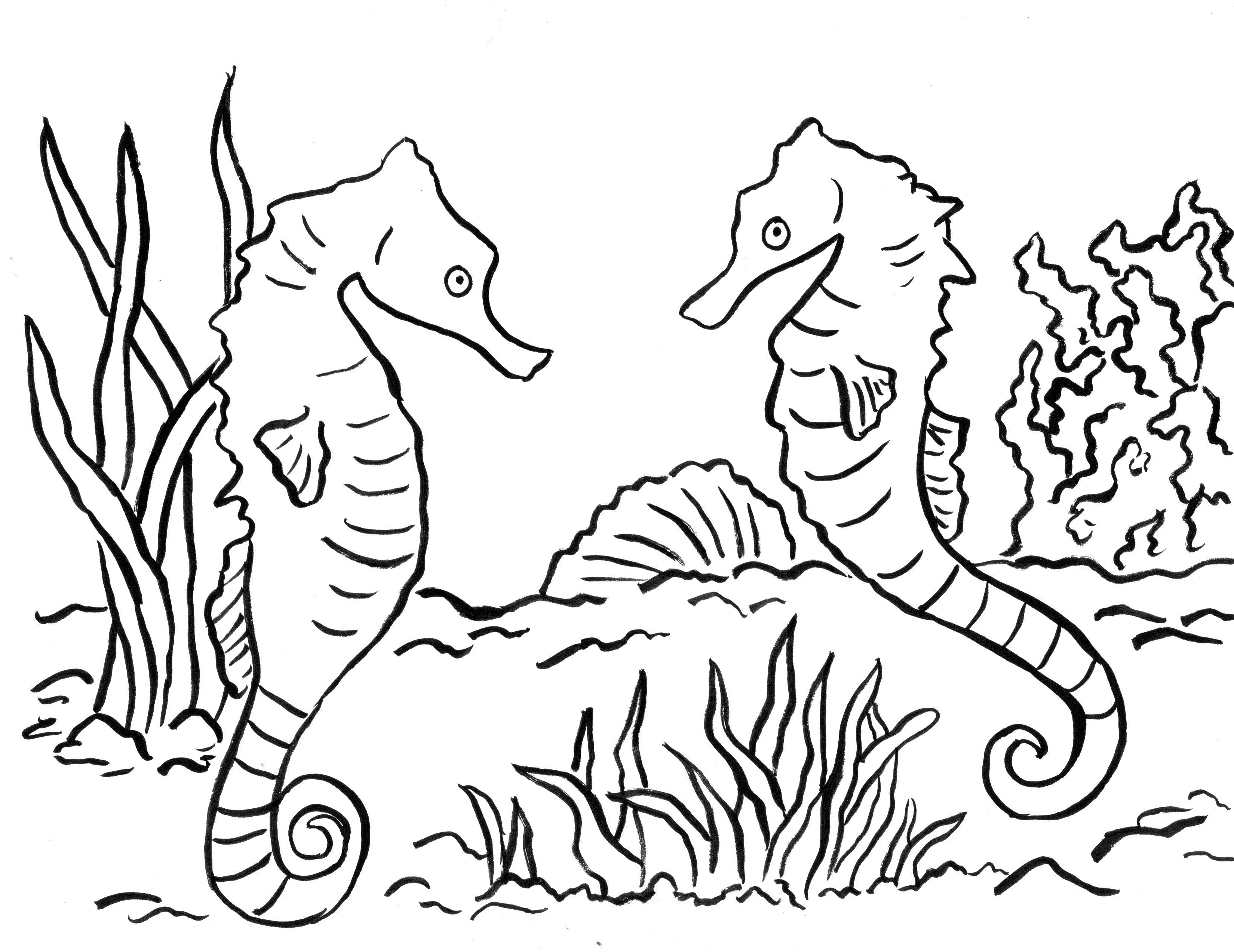 Seahorse Coloring Page Art Starts