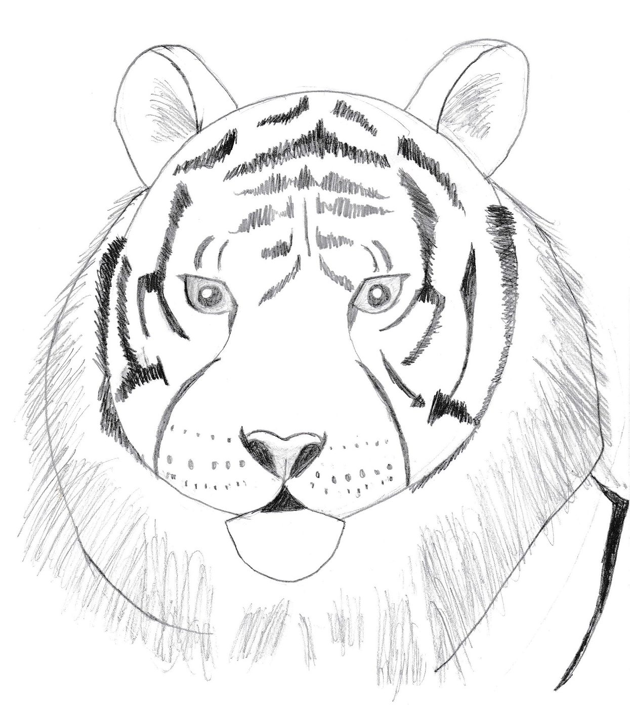 safari drawings | Easy Drawing Guides