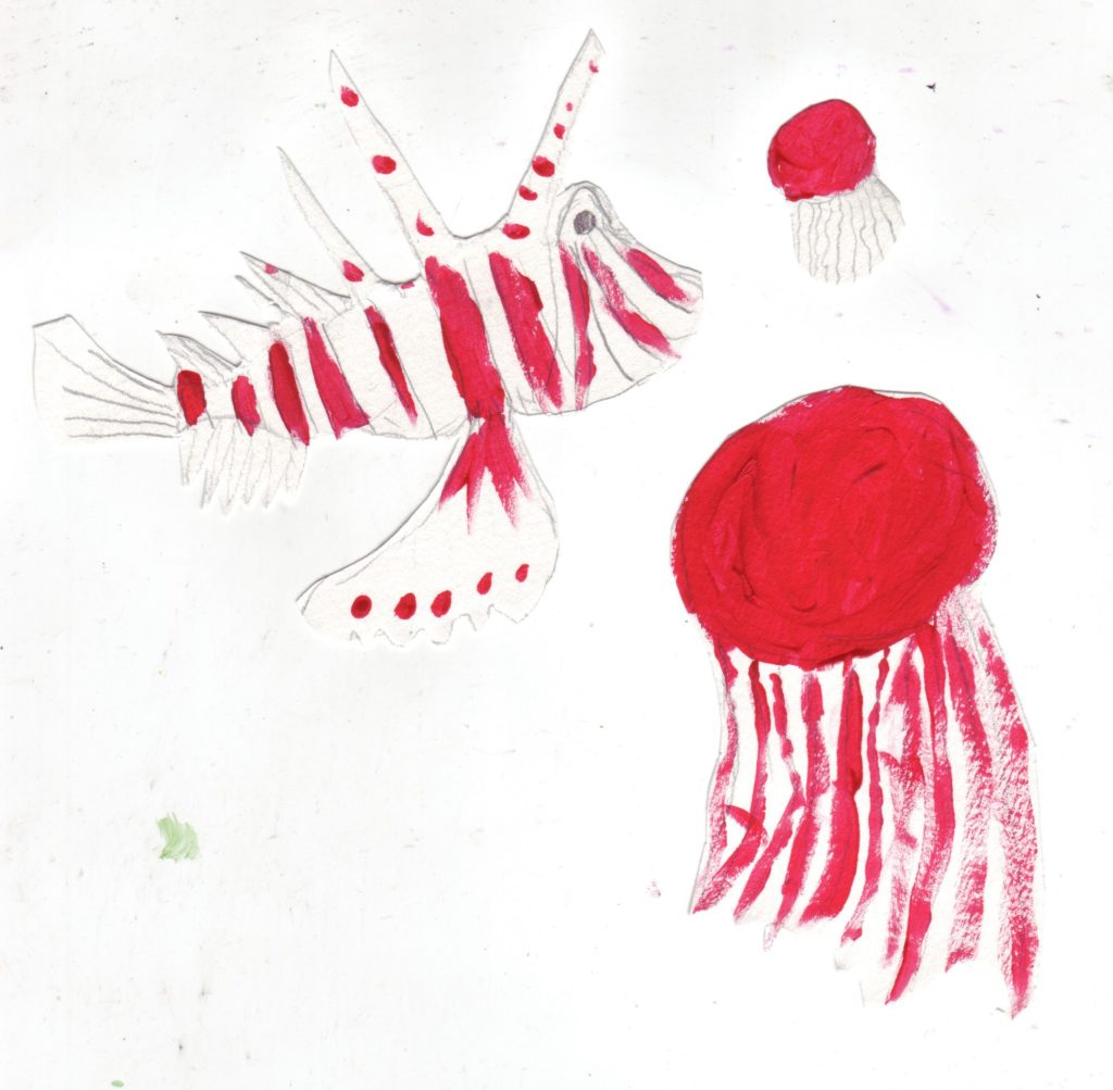 fish-drawings