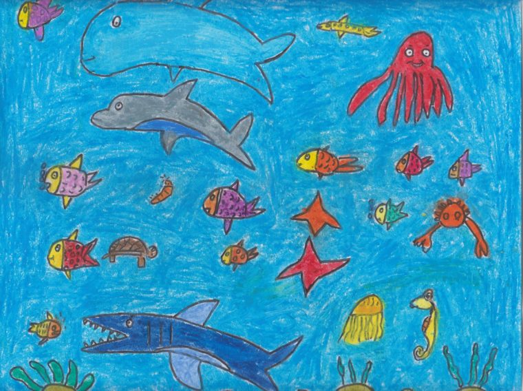 The colours of Indian ocean - Art Starts The colours of Indian ocean - Art Starts