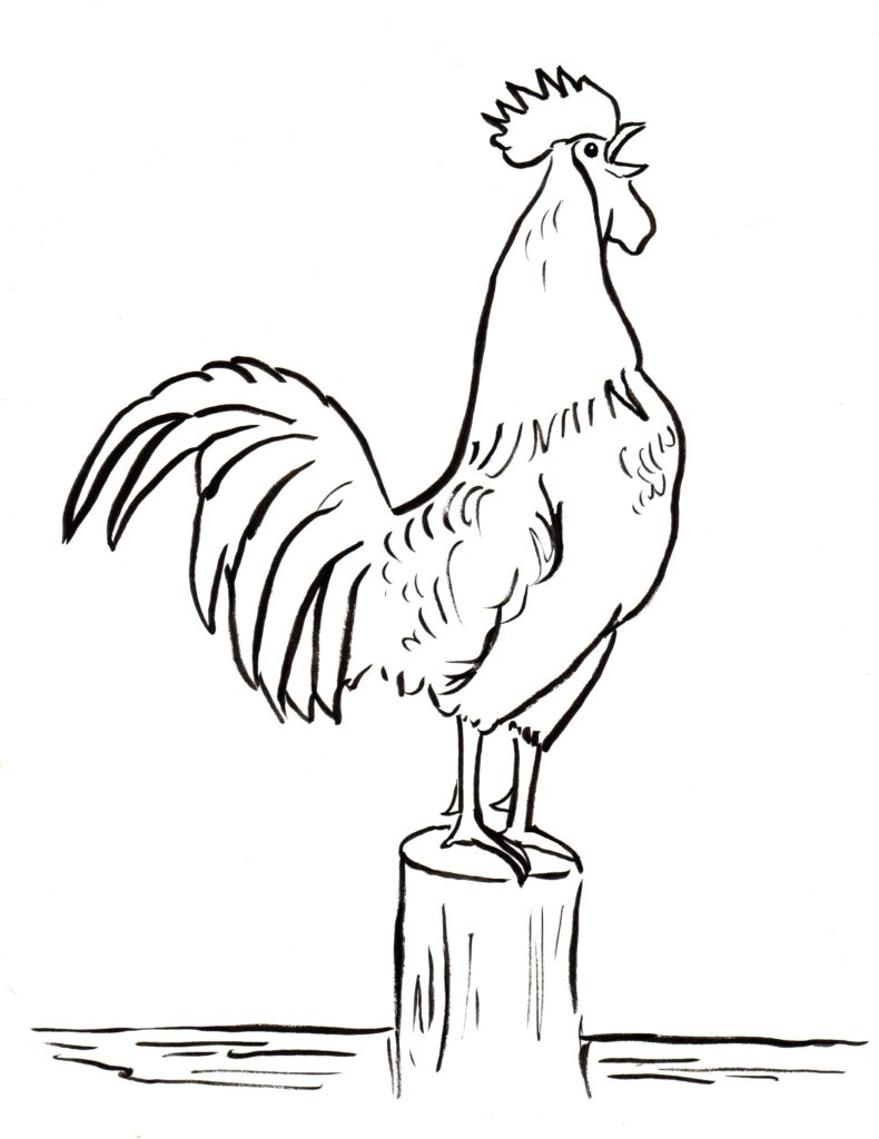 Rooster Coloring Page Art Starts for Kids