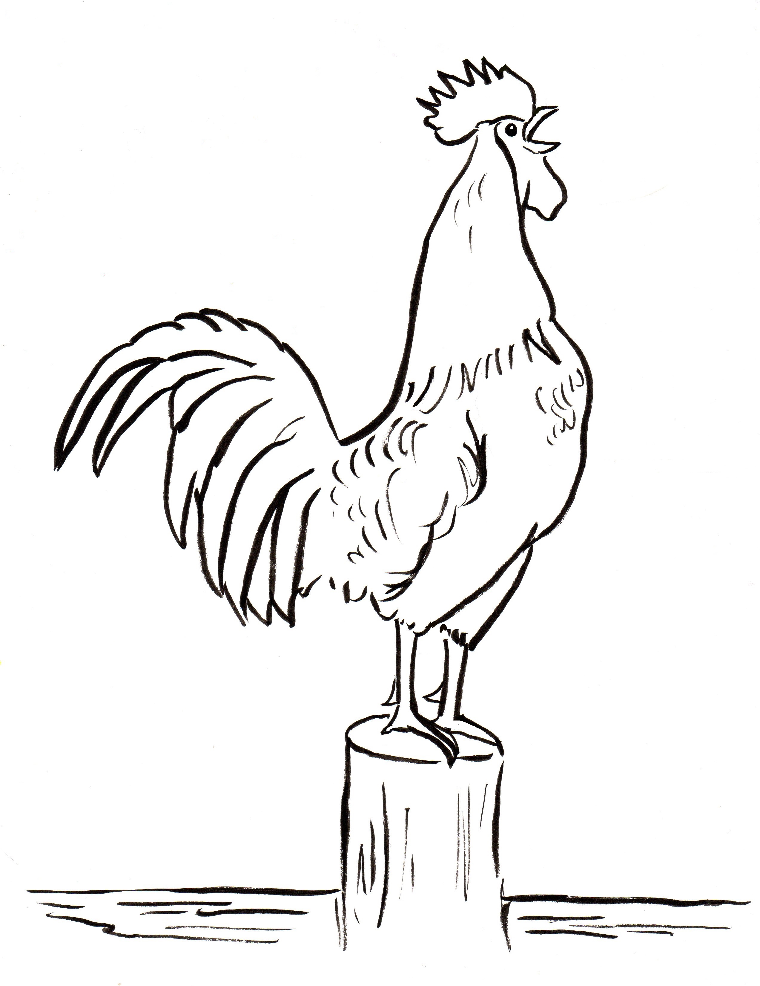 Rooster Coloring Page - Art Starts