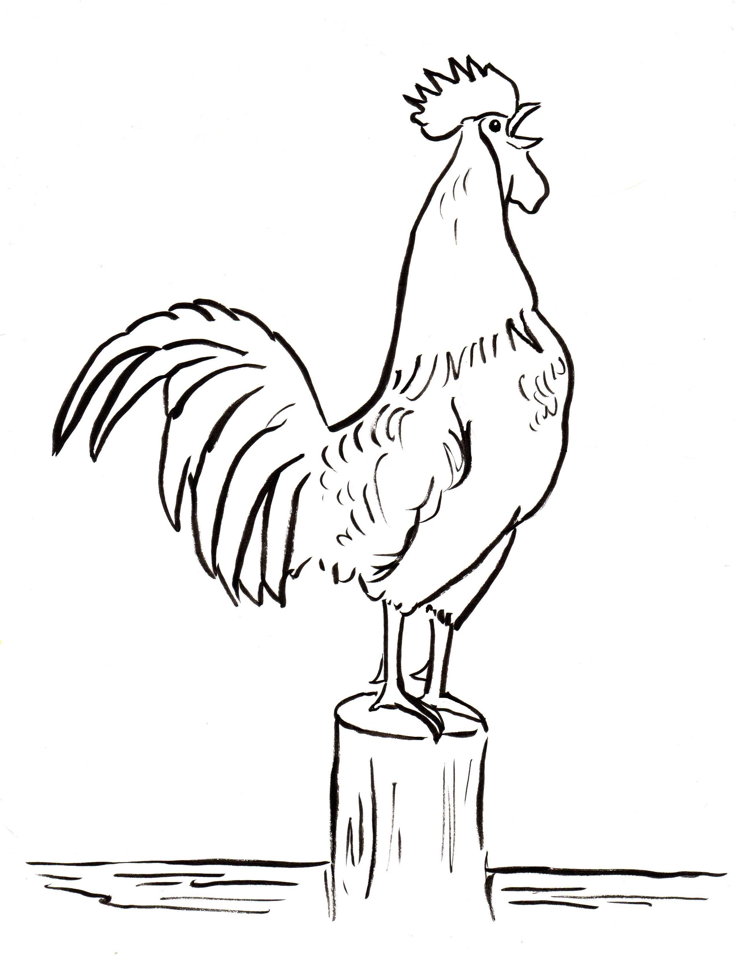 Strutting Rooster line Coloring Page Sketch Coloring Page Y29sb3JpbmcqdGhlY29sb3IqY29tfGNvbG9yfGltYWdlc3xSb29zdGVyMipnaWY dGhlY29sb3IqY29tfENvbG9yaW5nfFJvb3N0ZXIyKmFzcHg