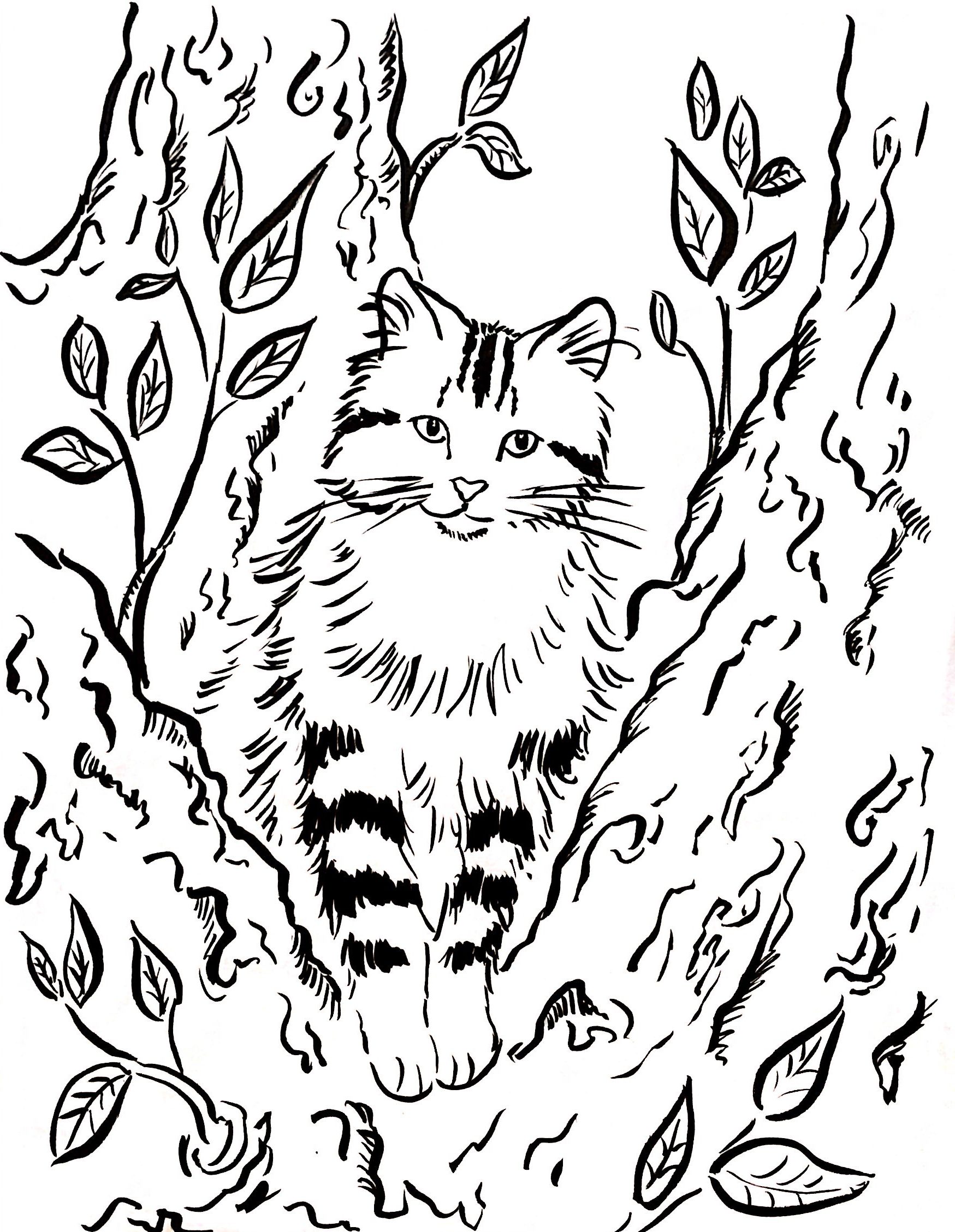 Cat in a Tree Coloring Page - Art Starts