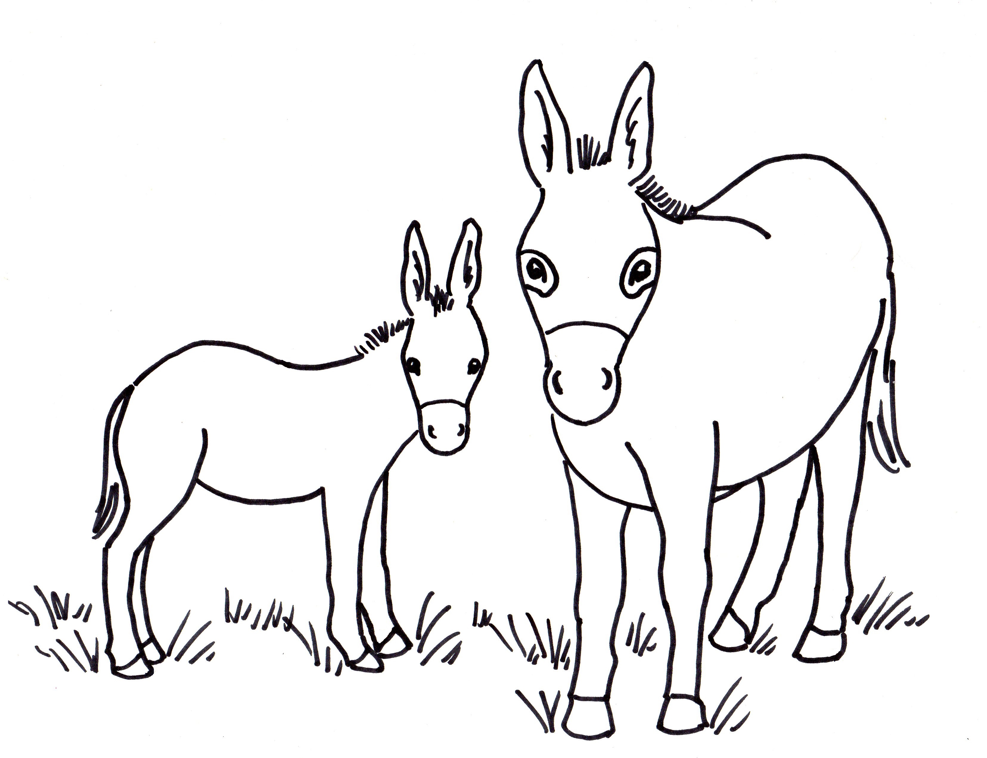 Printable Donkey Picture - Printable Word Searches