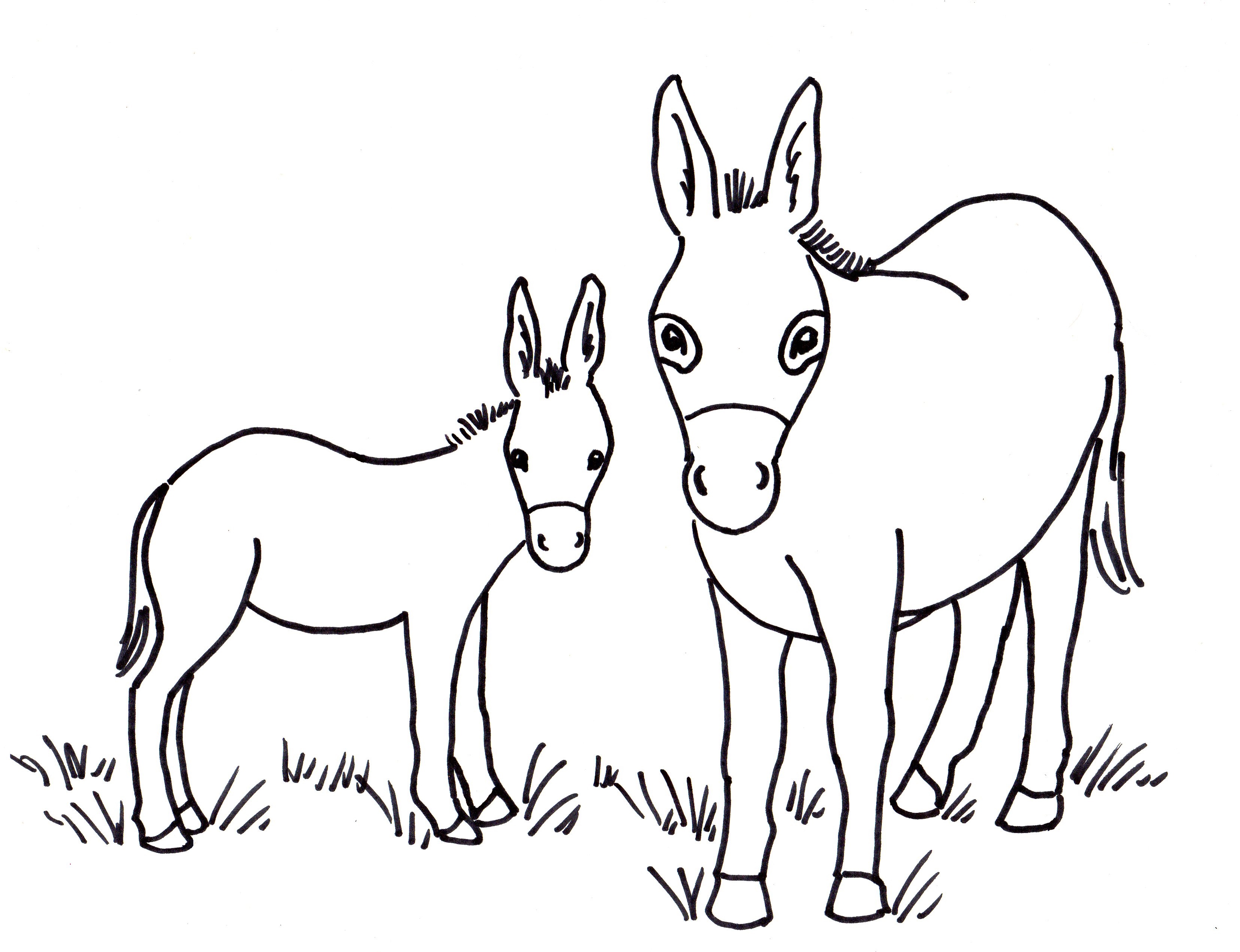 Donkey Template Printable Printable Word Searches