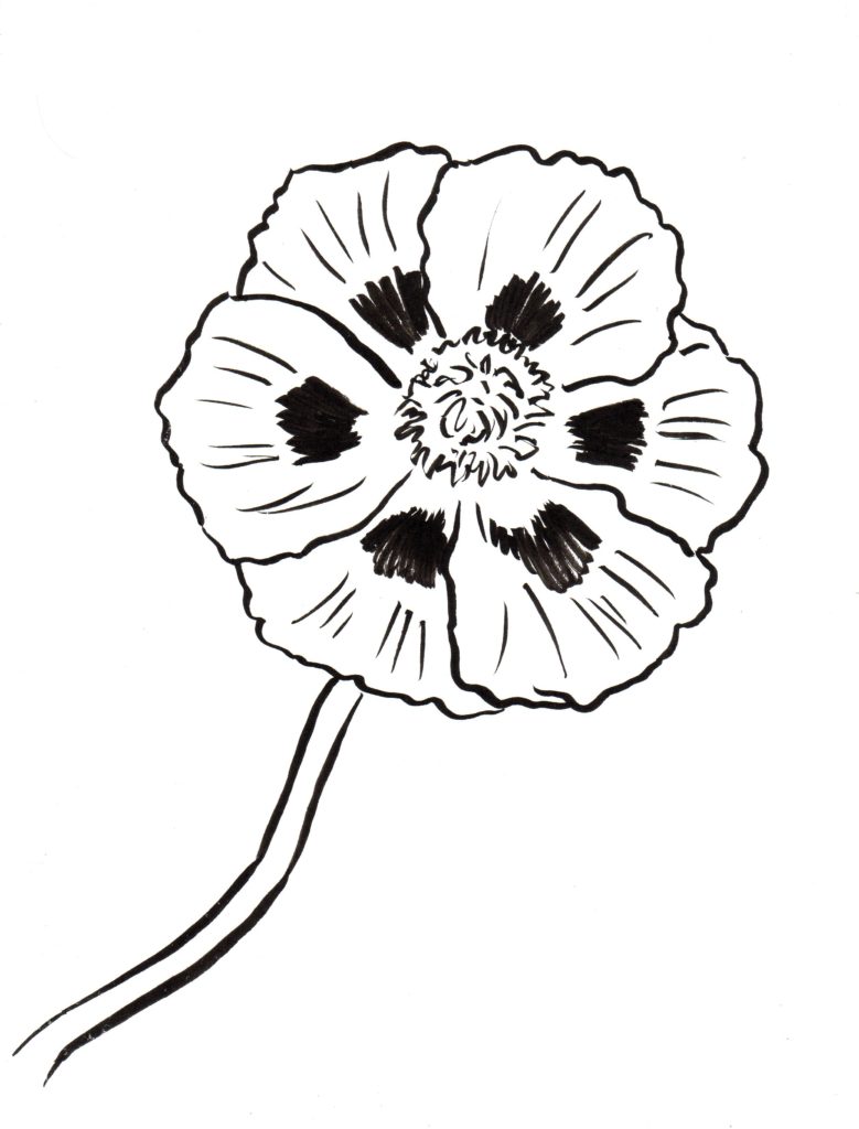 Poppy Coloring Page Art Starts