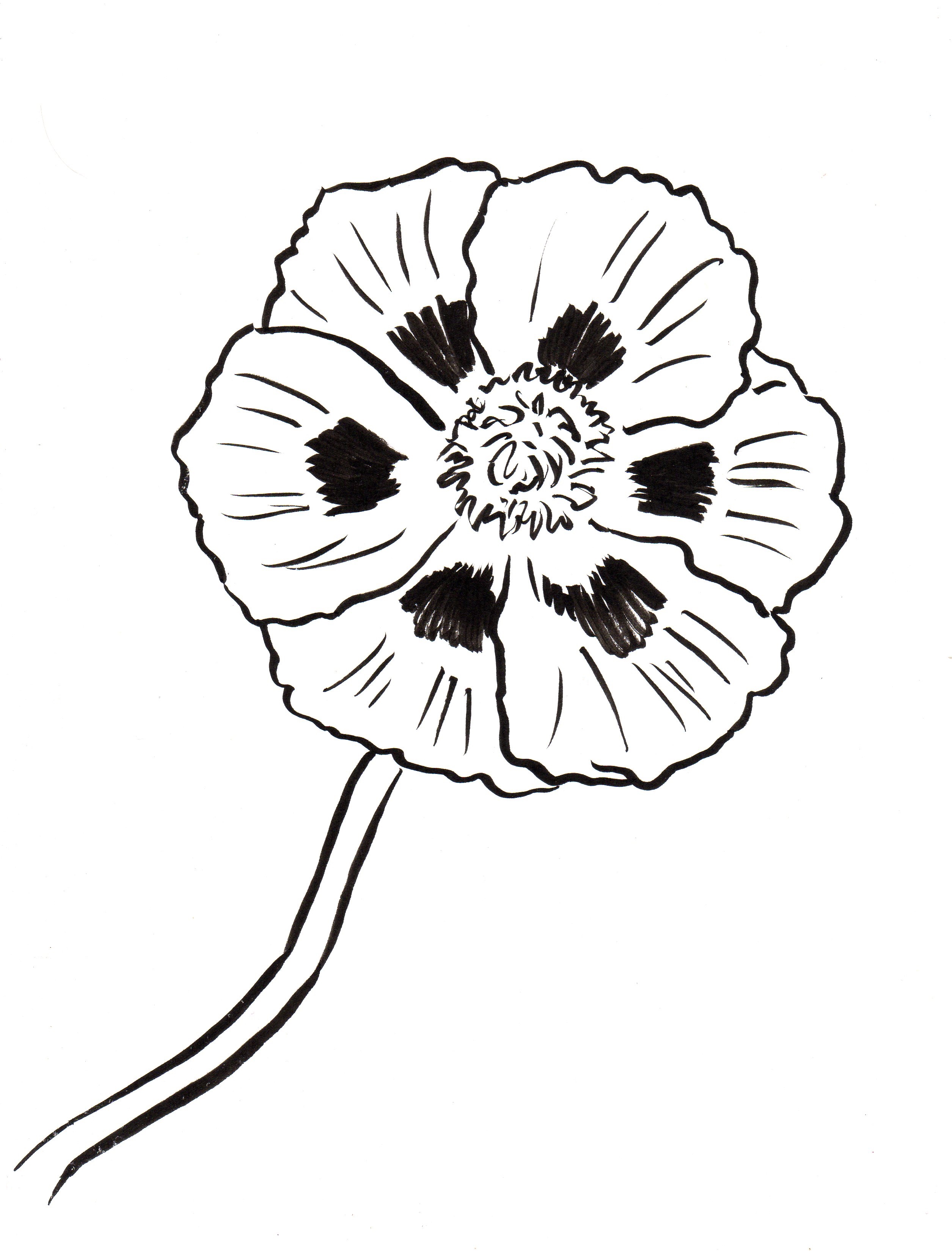 Poppy Coloring Page Art Starts Poppy Coloring Page Art Starts