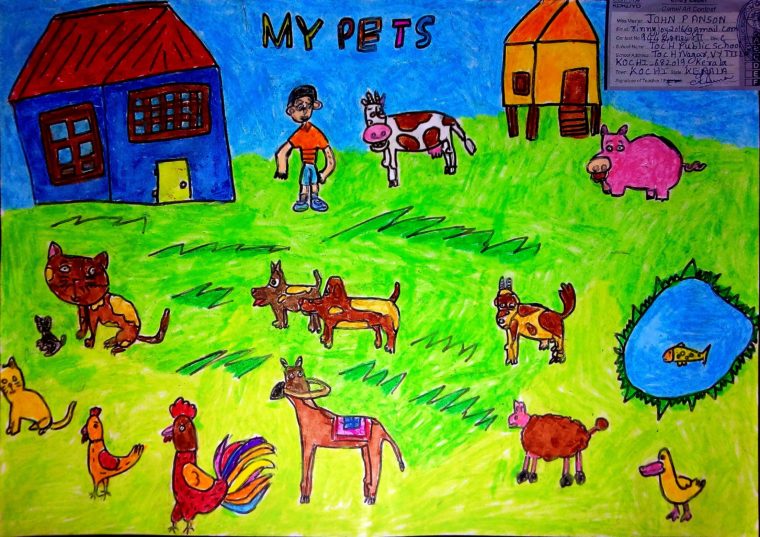 Farm animals - Art Starts