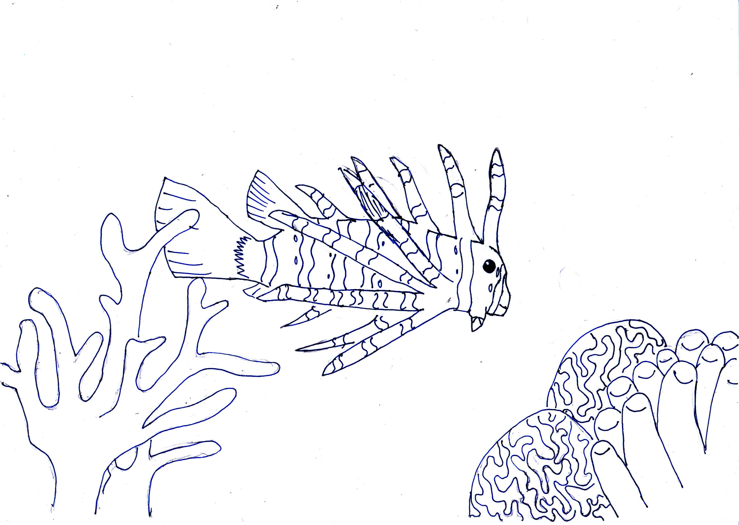 Lionfish - Art Starts for Kids