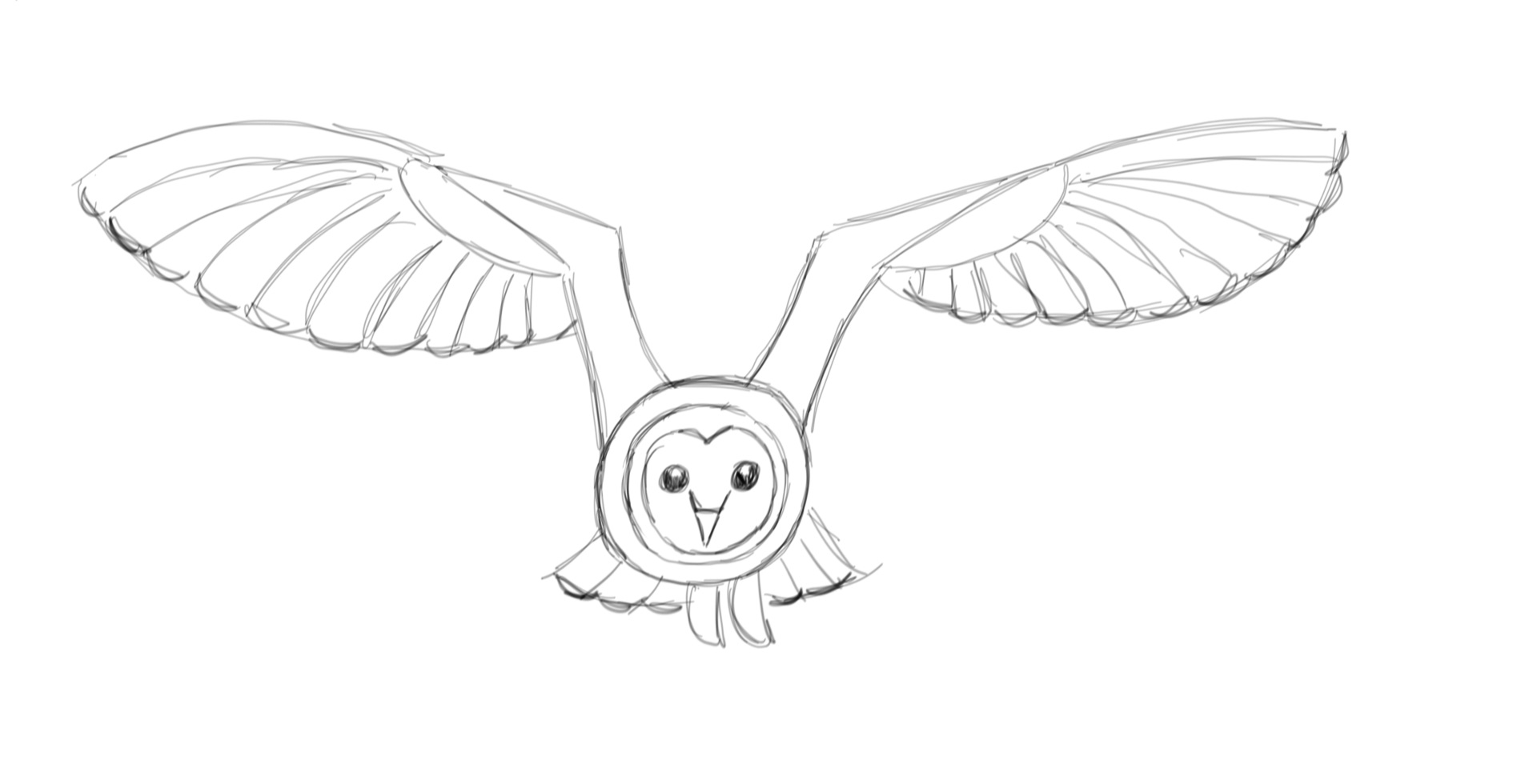 Barn Owl Drawing - HelloArtsy