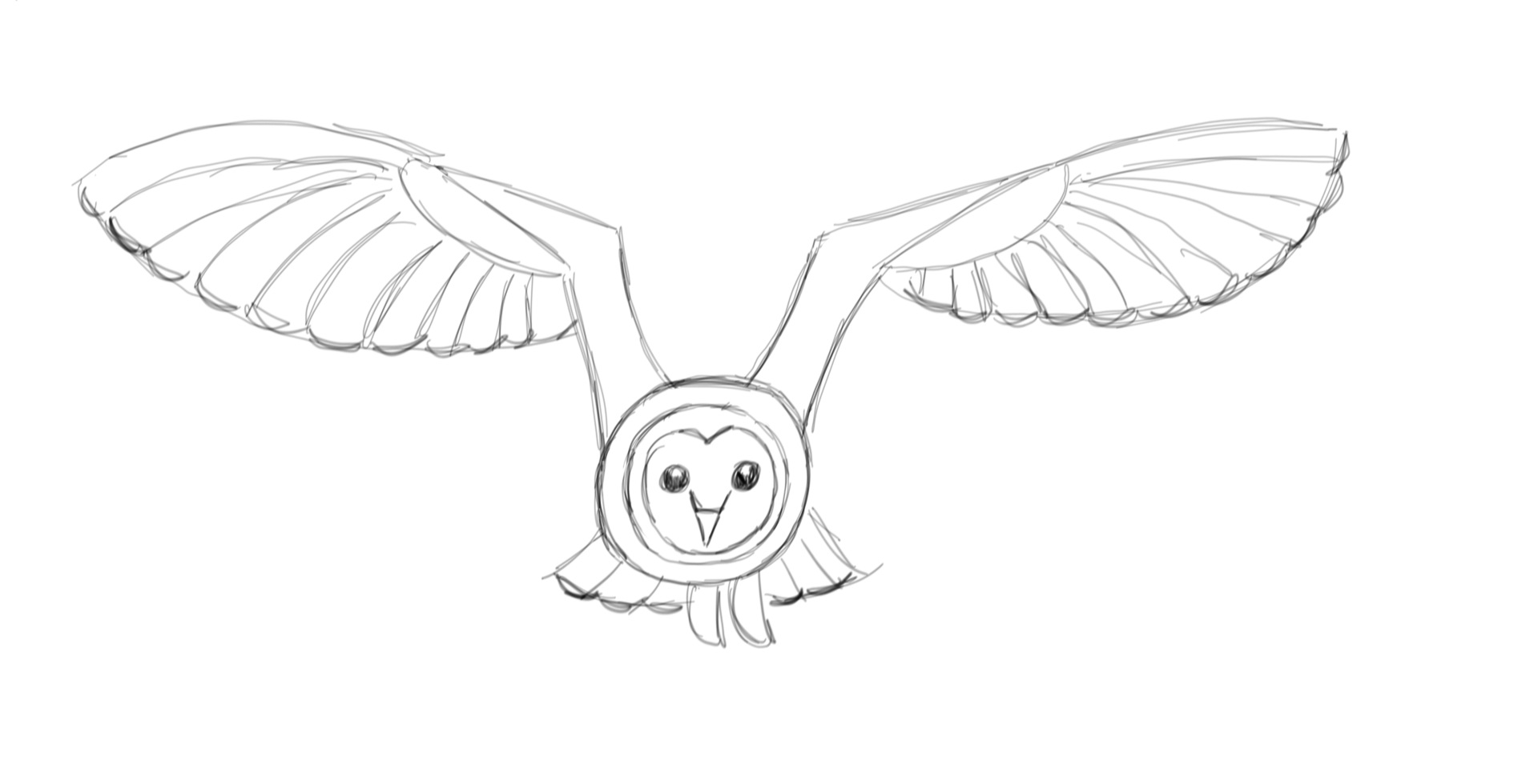 Owl Drawing Step by Step Art Starts