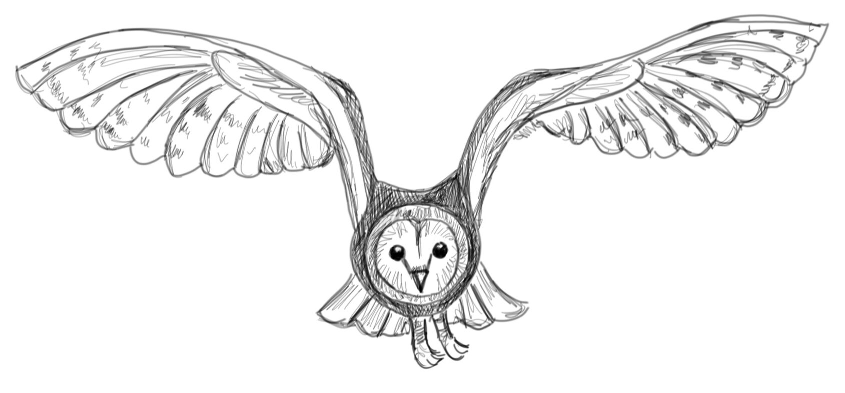 Owl Drawing Step by Step - Art Starts
