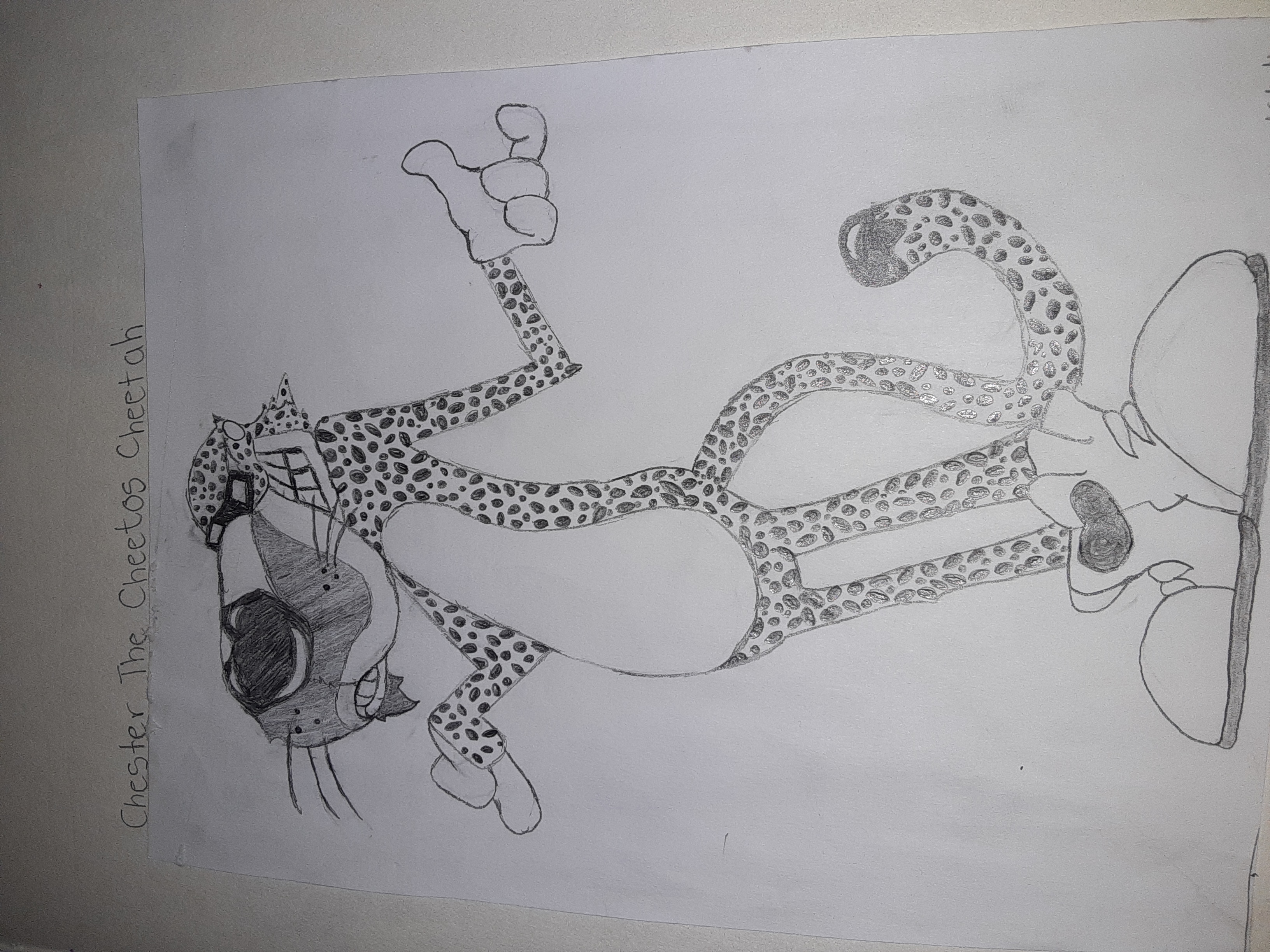 Chester The Cheetah Art Starts