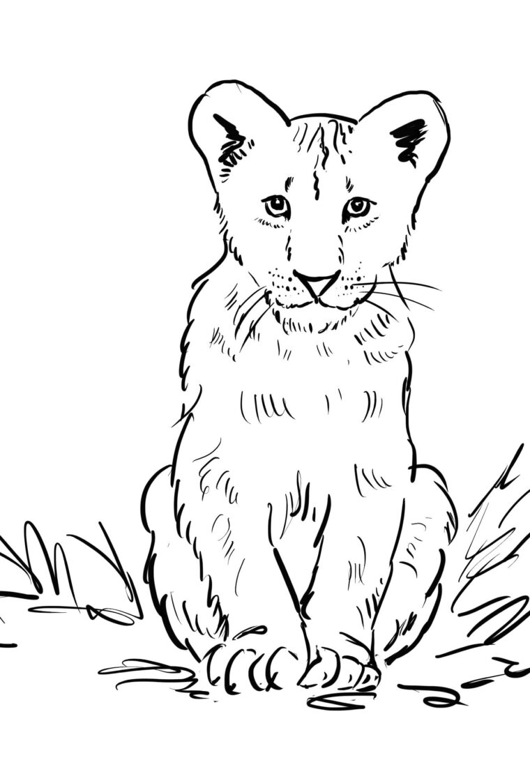 Coloring Page Lion Cub : Lion Cub Coloring Pages Get Coloring Pages