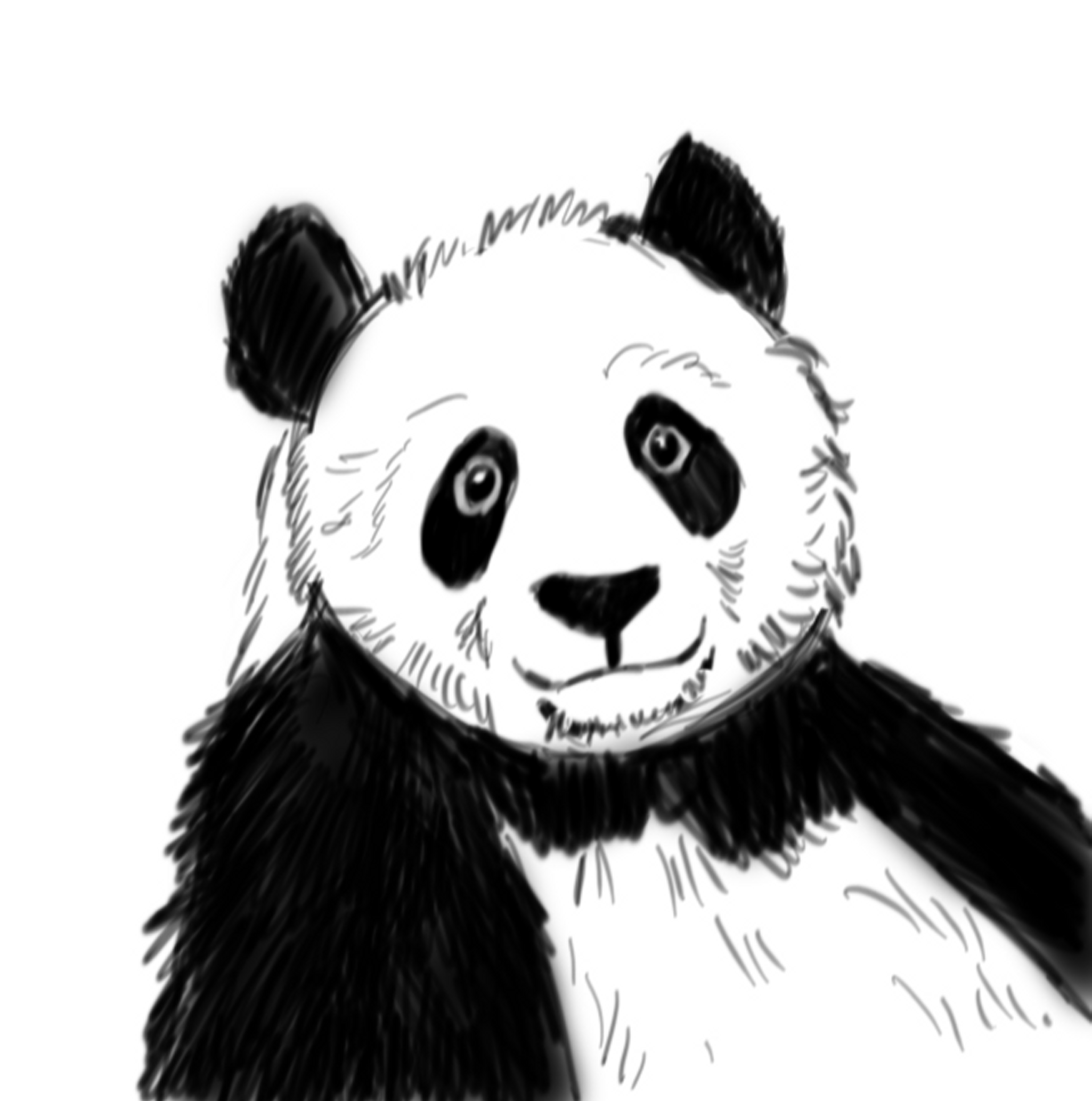 HOW TO DRAW A PANDA 