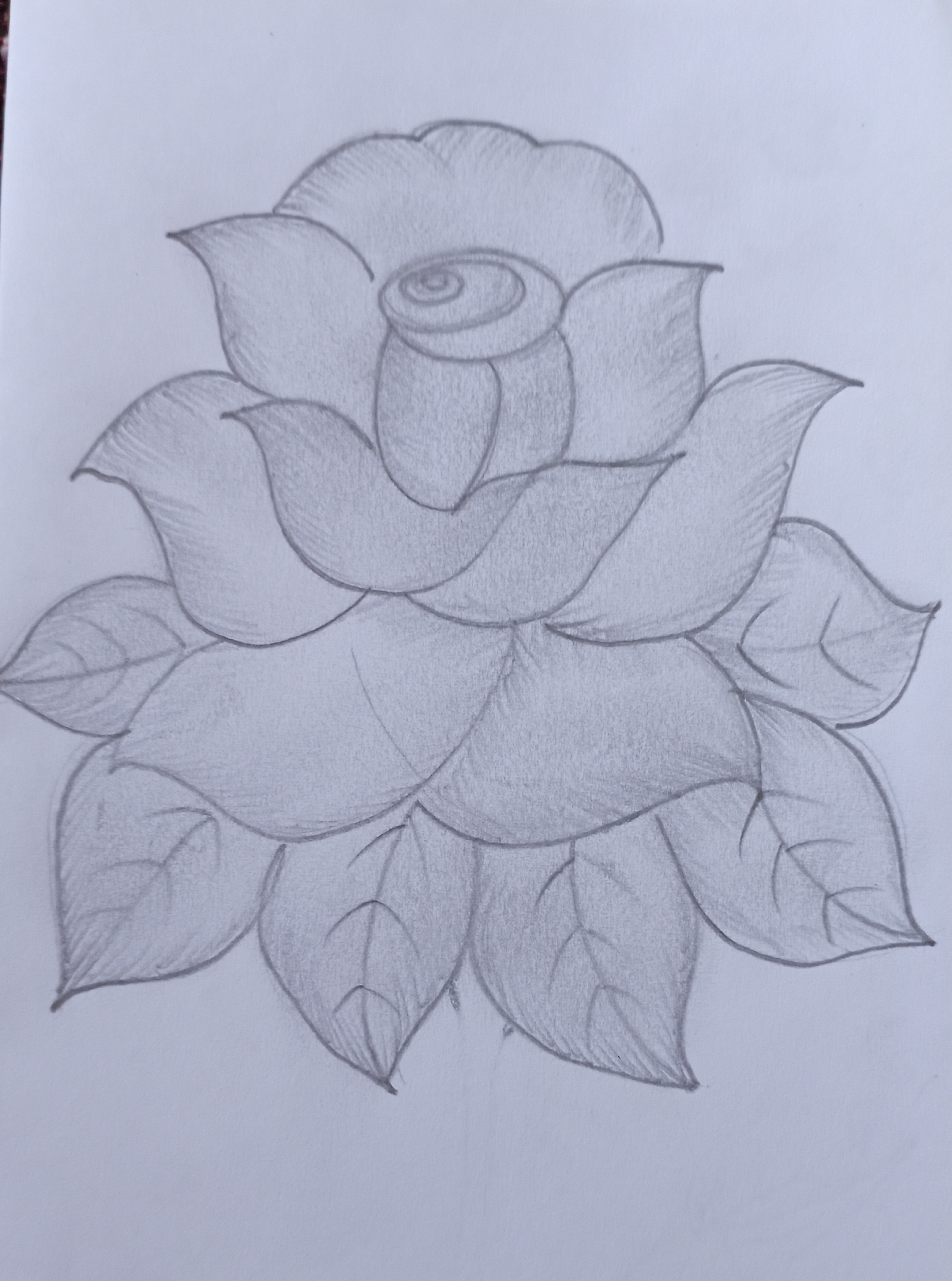 Rose Flower Art Starts