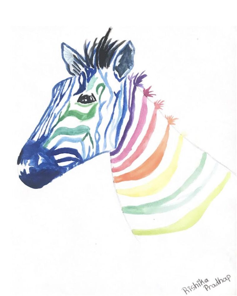 The Rainbow Zebra - Art Starts