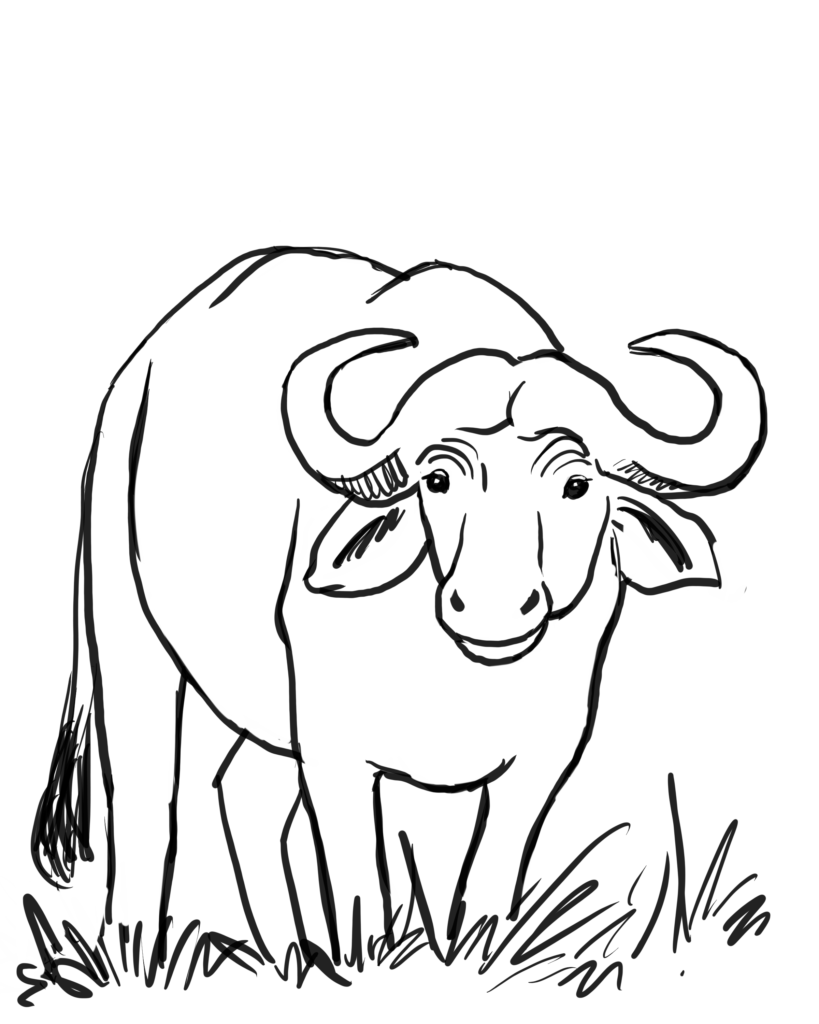 Water Buffalo Coloring Page | Art Starts